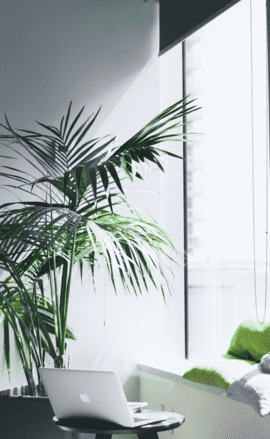 Novlini Espace de travail